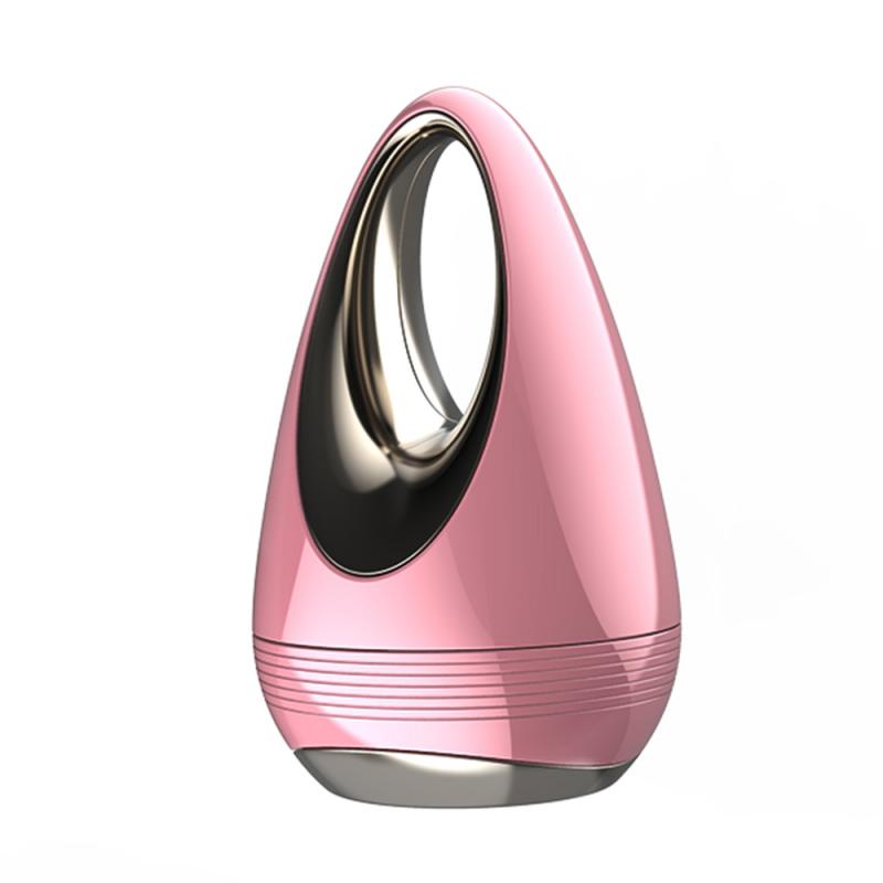 Facial Beauty Instrument