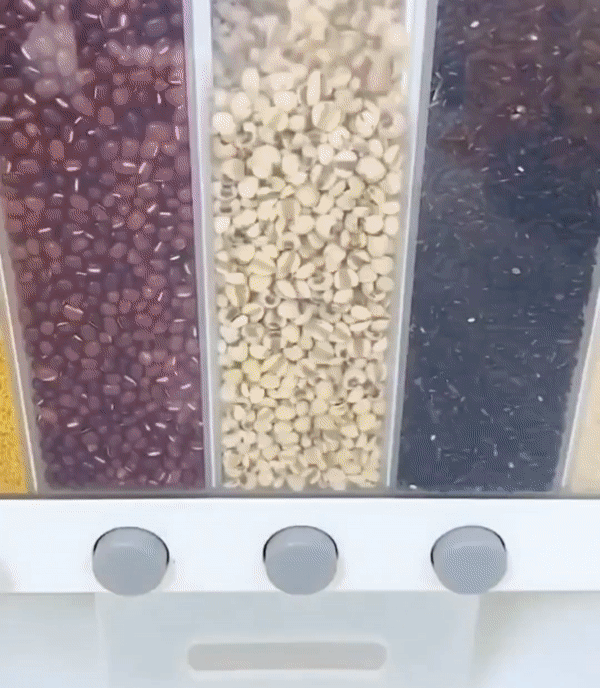 Rice Grain Beans Dispenser 6 Girds Pest-Proof Rack Sealed Food Storage Box for Kitchen and Home Kitchen Dispenser